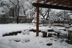 Cindy-Snow