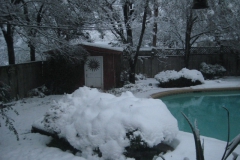 Tanya-Snow