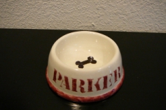 Parker Dish