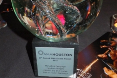 2013 AMA Crystal Awards